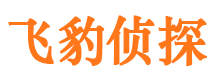 龙胜市私人侦探